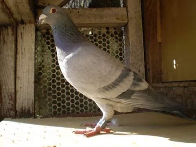  - CONTACT-0742571875