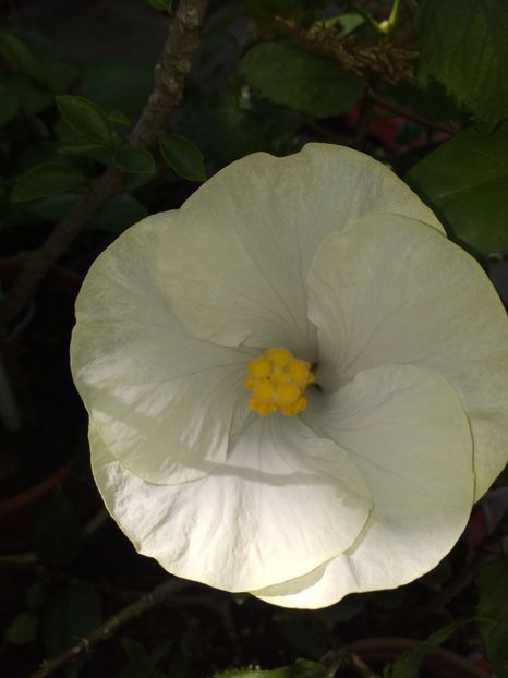  - Sărbători fericite 2019