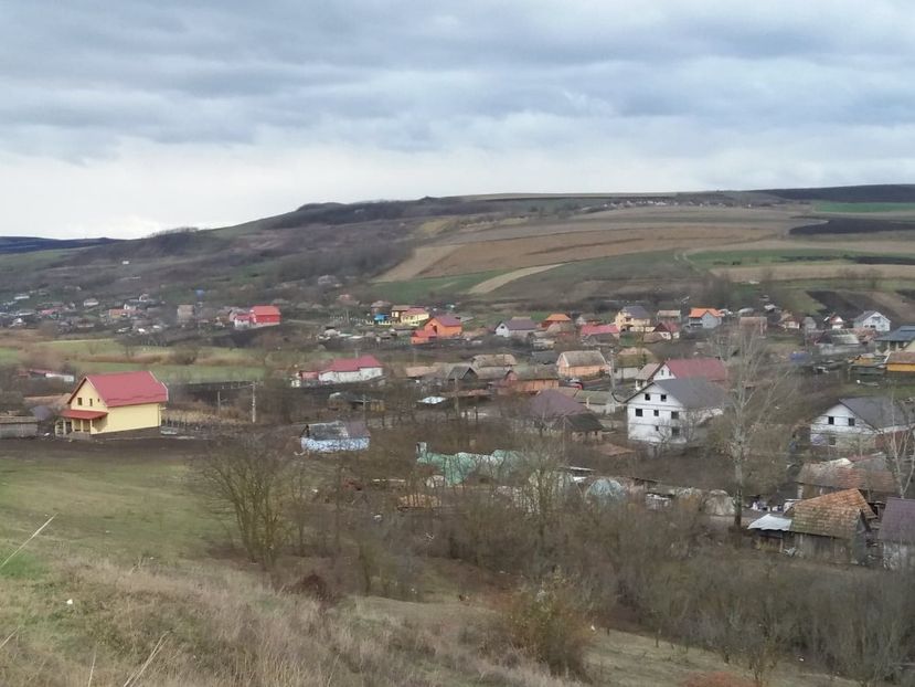  - Satu Nou