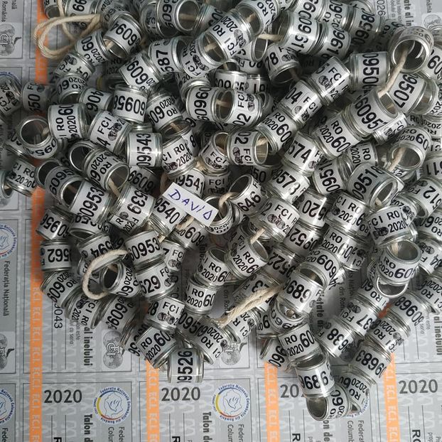 2020-FCPR(FCI) + talon....-terminate - Inele porumbei 2020 de vanzare