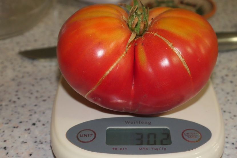 GREEK DOMATA (2) - GREEK DOMATA