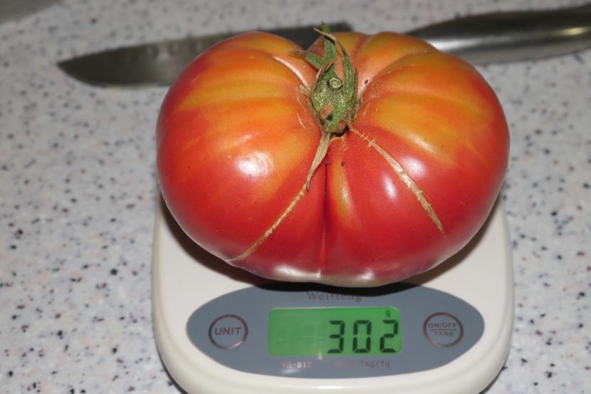 GREEK DOMATA (7) - GREEK DOMATA