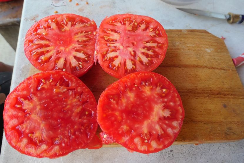 GREEK DOMATA (13) - GREEK DOMATA