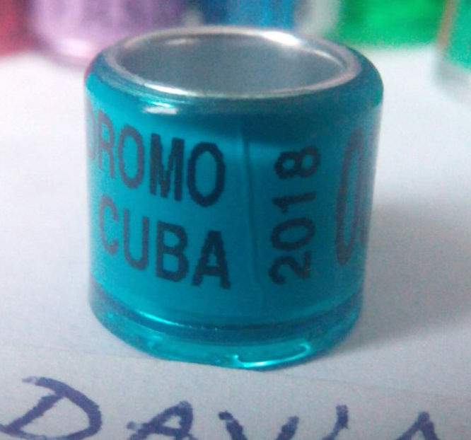 2018-Cuba Columbodrom - Cuba