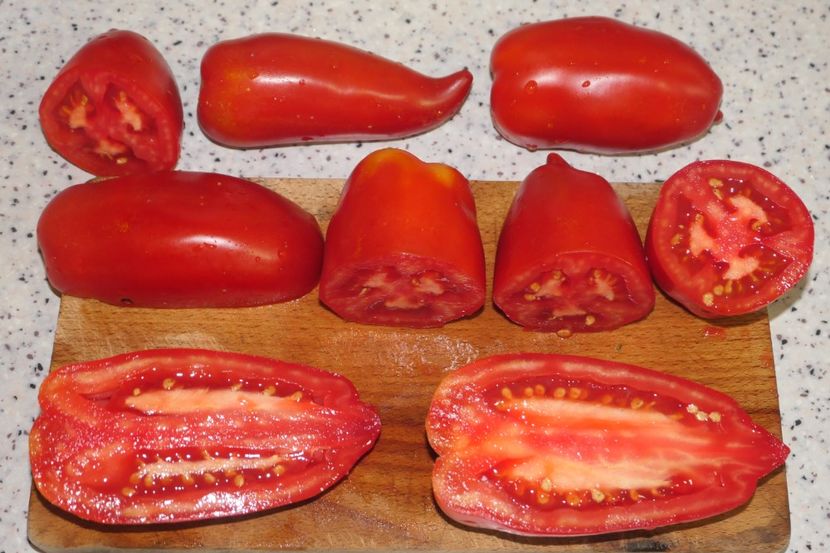 JERSEY GIANT (28) - JERSEY GIANT