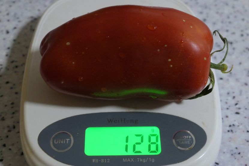 JERSEY GIANT (32) - JERSEY GIANT