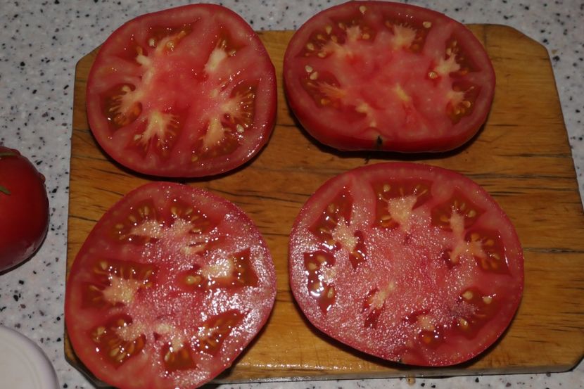 KOT TIMOFEY (13) - KOT TIMOFEY-COTOIUL TIMOFEY