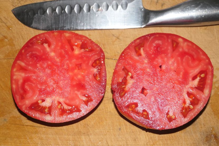 MEDELINA (17) - MEDELINA