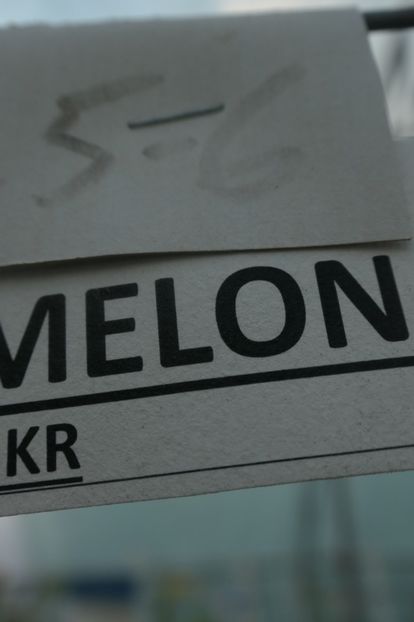 MELON (19) - MELON