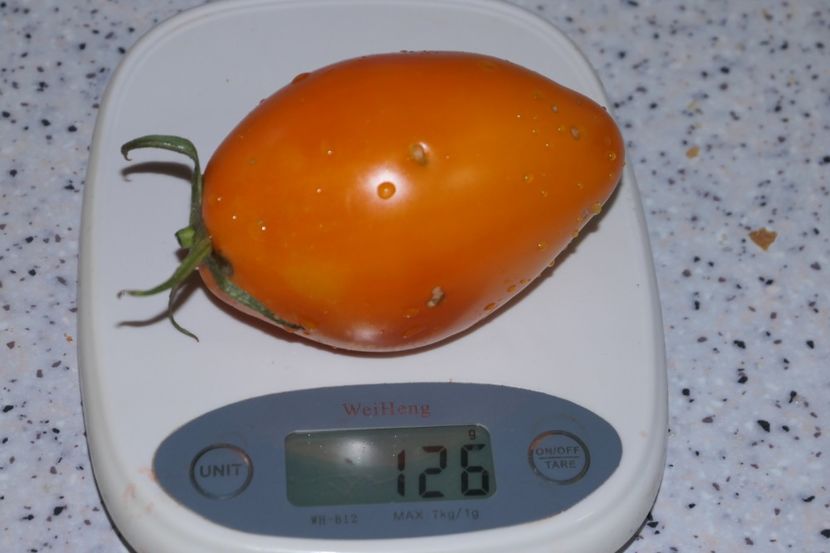 MELON UKR (13) - MELON
