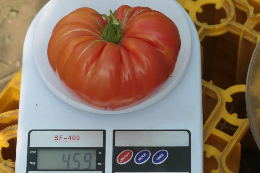 MILLIONAIRE (5) - MILLIONAIRE