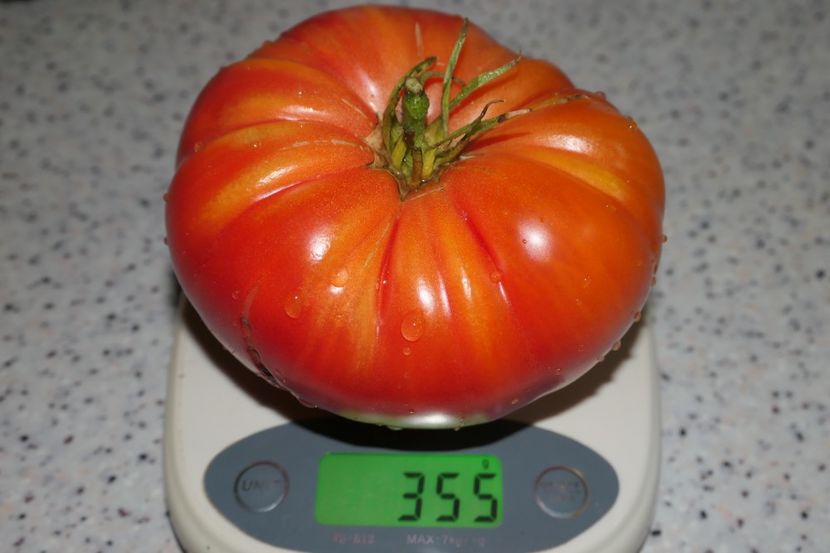 MILLIONAIRE (7) - MILLIONAIRE