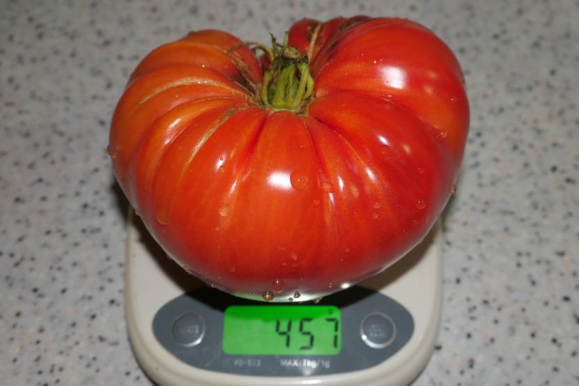 MILLIONAIRE (9) - MILLIONAIRE