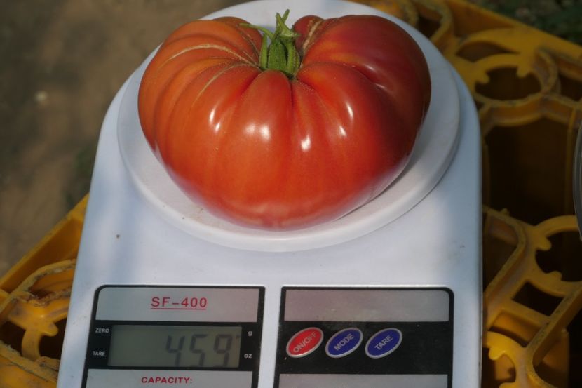 MILLIONAIRE (14) - MILLIONAIRE