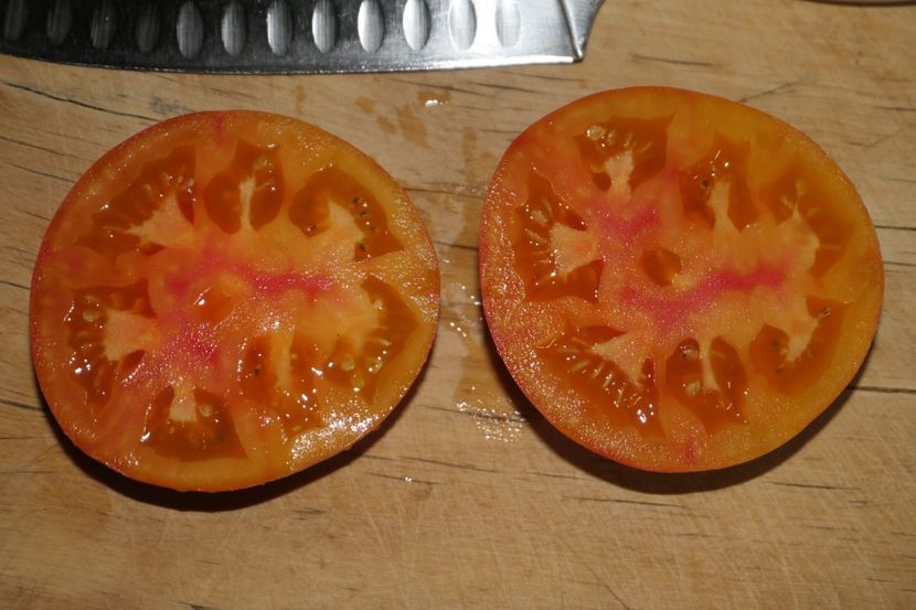 MISTERY OF NATURE (2) - MISTERY OF NATURE