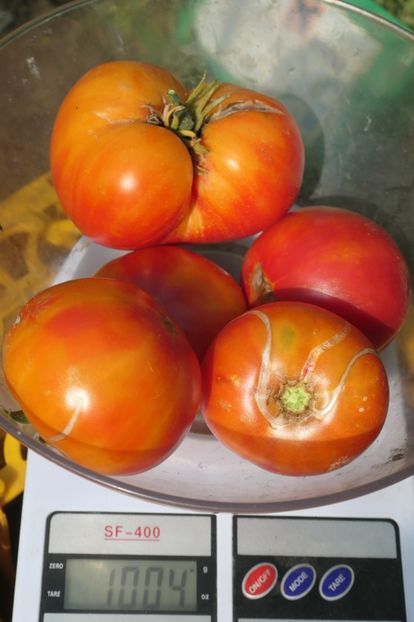 MISTERY OF NATURE (3) - MISTERY OF NATURE