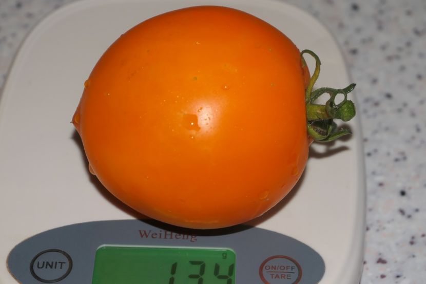 ORANGE PEPPER -UKR (19) - ORANGE PEPPER -UKRAINA