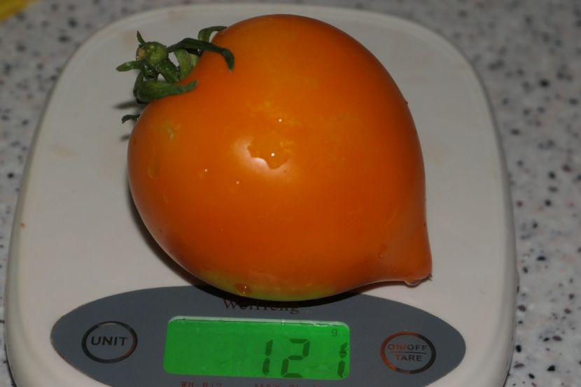 ORANGE PEPPER -UKR (25) - ORANGE PEPPER -UKRAINA