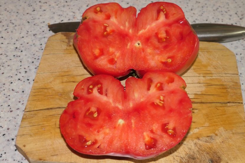 BATYANYA PINK HEART (12) - BATYANYA PINK HEART