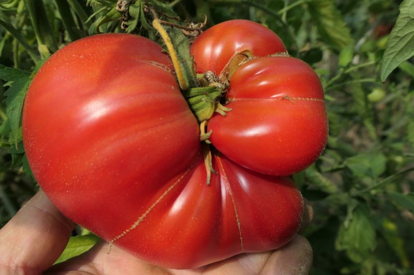 BATYANYA PINK HEART (28) - BATYANYA PINK HEART