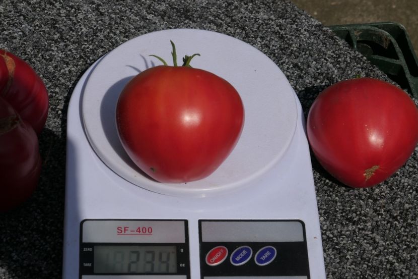 BATYANYA PINK HEART (30) - BATYANYA PINK HEART