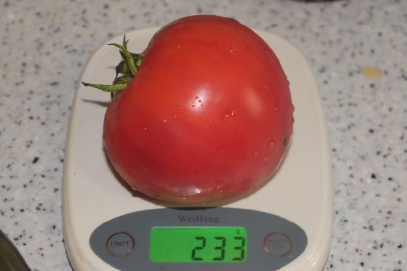 BATYANYA PINK HEART (32) - BATYANYA PINK HEART