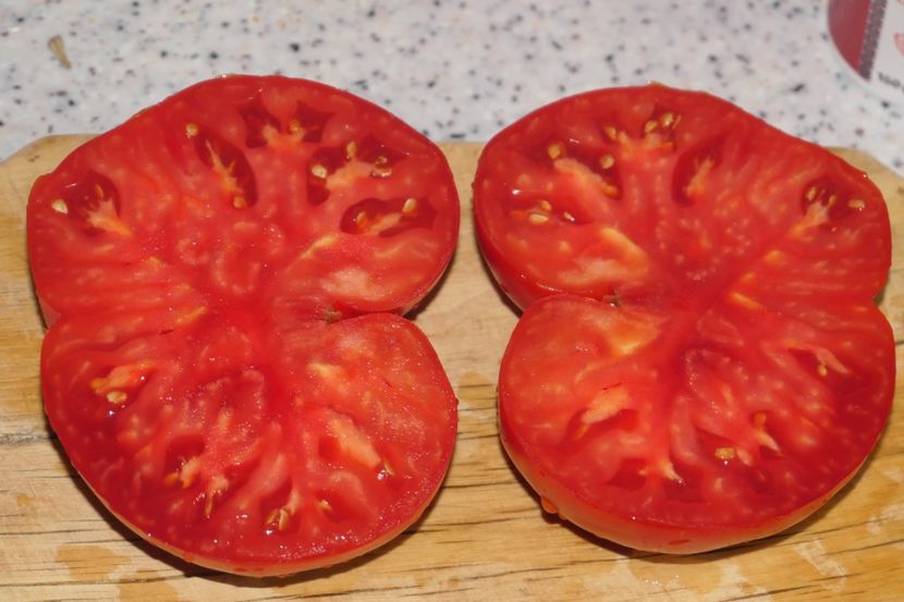 RED GIANT NIKITOVA (34) - RED GIANT NIKITOVA