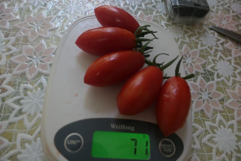 RED PEPPER CHERRY UKR (11) - RED PEPPER CHERRY UKRAINA