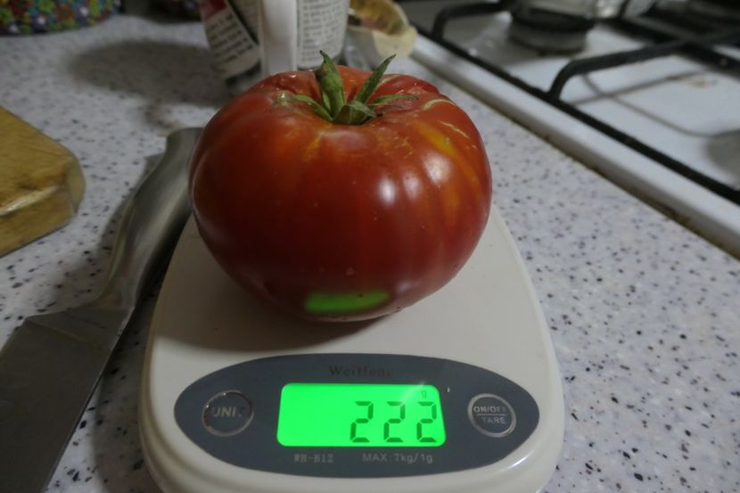 RIGHT SIZE - RIGHT SIZE