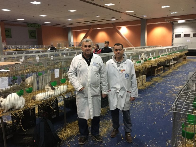 E5850EC1-3746-4F37-BAB9-5E8D7A71AD25 - 7 - Rezultate Expoziția Nationala a României 12-15 Decembrie 2019