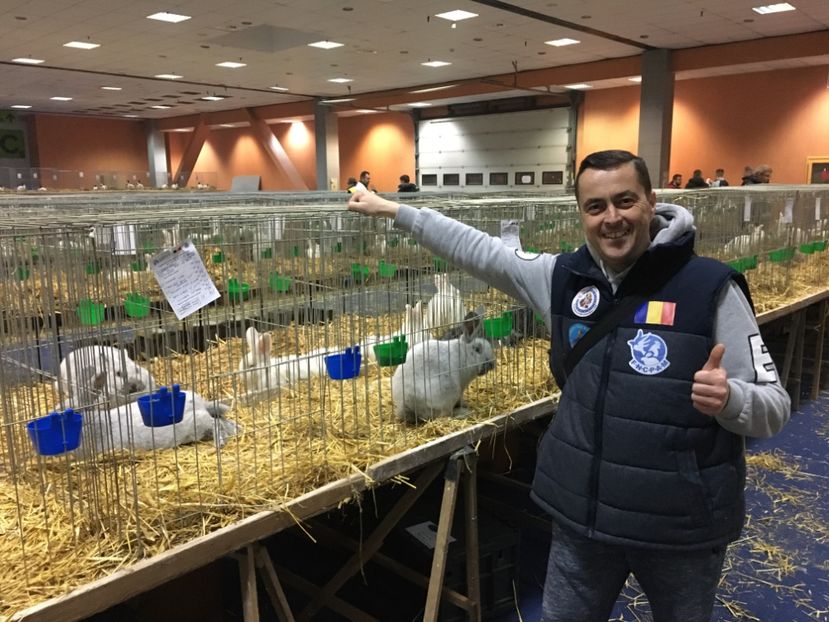 6CF7C6B7-1390-4CC7-866D-69B376DFE2CD - 7 - Rezultate Expoziția Nationala a României 12-15 Decembrie 2019