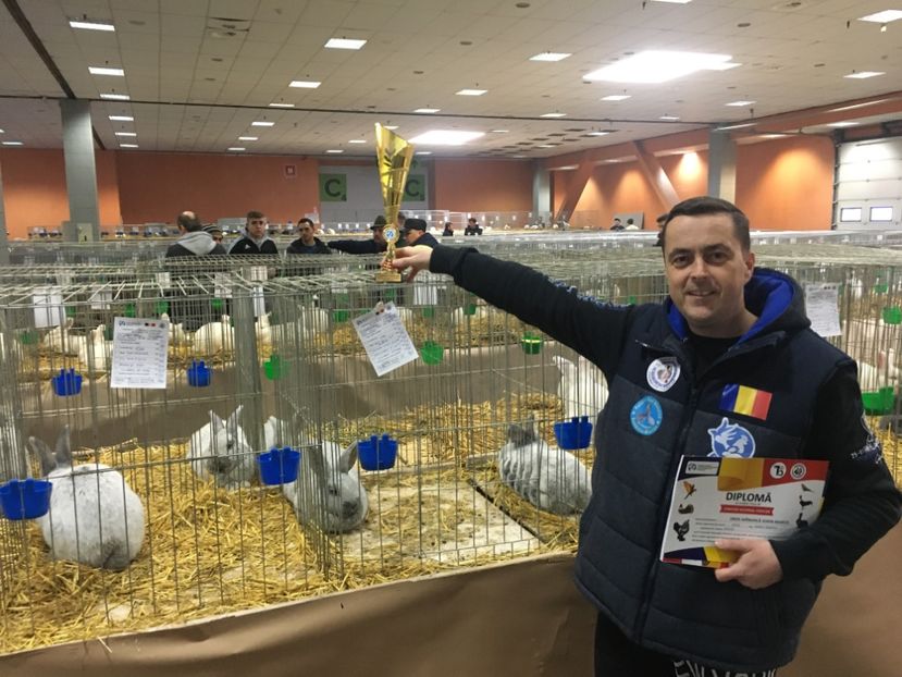 79014714-D040-49AD-AD5A-E9248F7D1216 - 7 - Rezultate Expoziția Nationala a României 12-15 Decembrie 2019