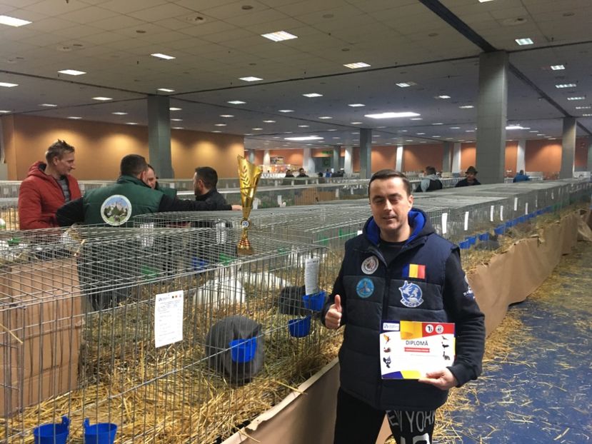 5F348F26-1C32-42DC-83F4-C0DEF35DC122 - 7 - Rezultate Expoziția Nationala a României 12-15 Decembrie 2019