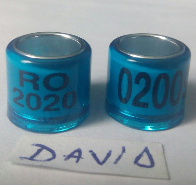 2020-albastru 8mm....-1 leu - Inele porumbei 2020 de vanzare
