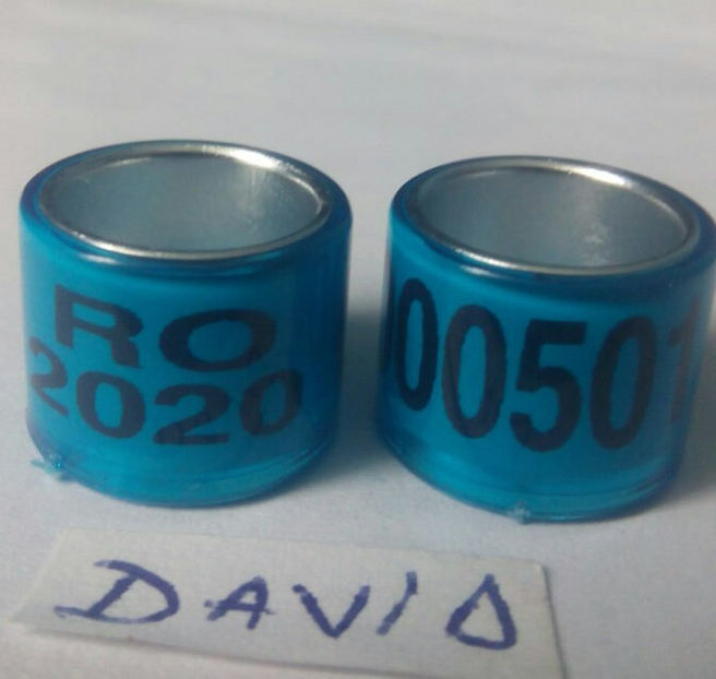 2020-albastru 10mm....-1 leu - Inele porumbei 2020 de vanzare