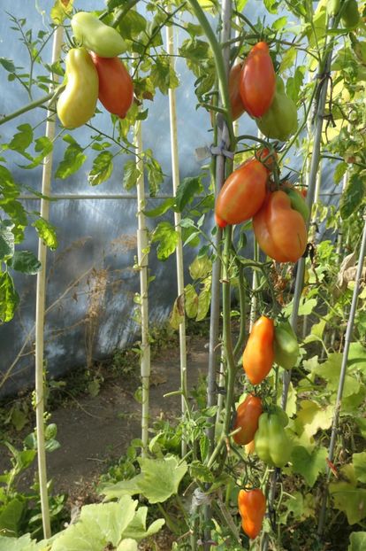 SCATOLONE ITALIA (12) - SCATOLONE ITALIA