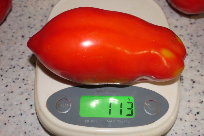 SCATOLONE ITALIA (47) - SCATOLONE ITALIA