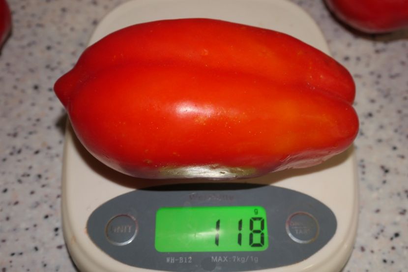 SCATOLONE ITALIA (48) - SCATOLONE ITALIA