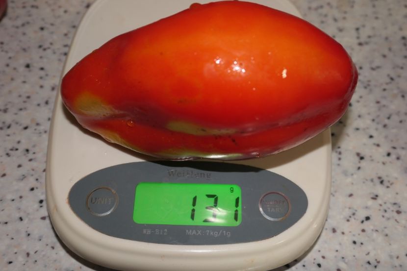 SCATOLONE ITALIA (49) - SCATOLONE ITALIA