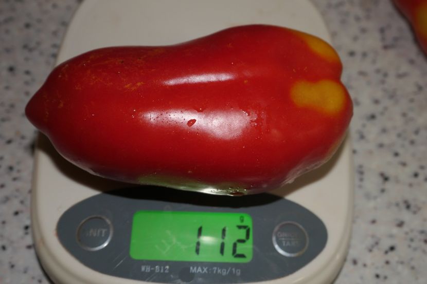 SCATOLONE ITALIA (52) - SCATOLONE ITALIA