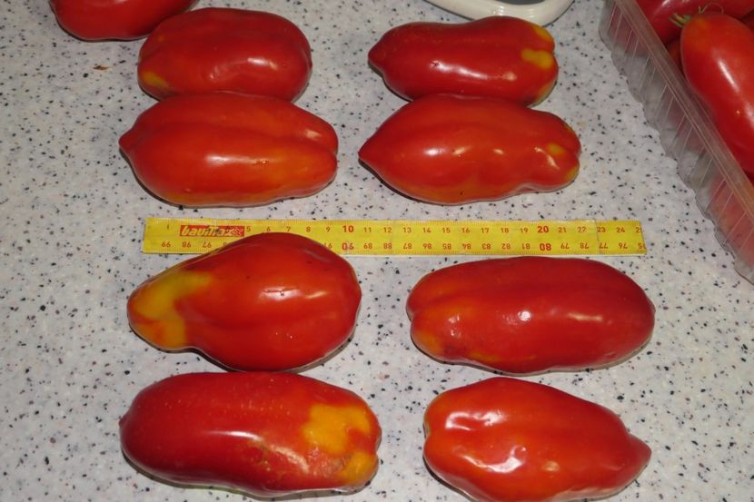 SCATOLONE ITALIA (55) - SCATOLONE ITALIA