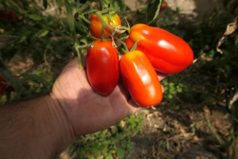 SCATOLONE 2 UKRAINA (7) - SCATOLONE 2 UKRAINA