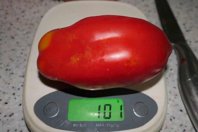 SCATOLONE 2 UKRAINA (20) - SCATOLONE 2 UKRAINA