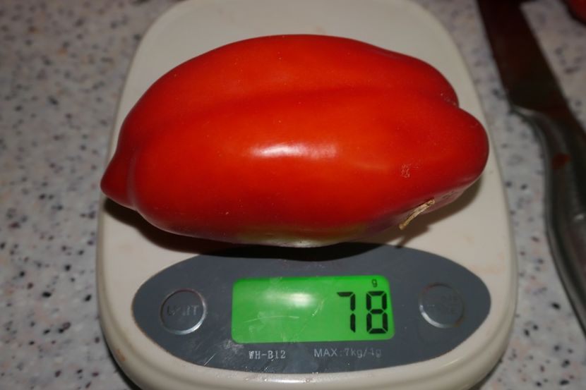 SCATOLONE 2 UKRAINA (22) - SCATOLONE 2 UKRAINA