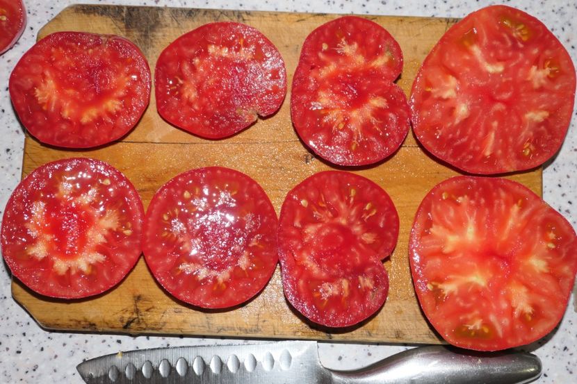 SIBERIAN GIANT (10) - SIBERIAN GIANT