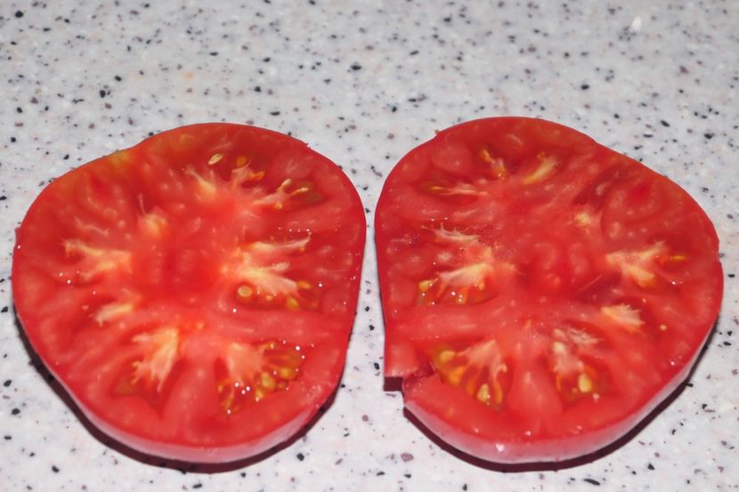 SIBERIAN GIANT (25) - SIBERIAN GIANT