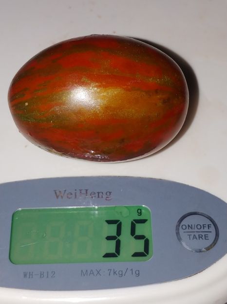 TIGER BLACK PLUM (3) - TIGER BLACK PLUM