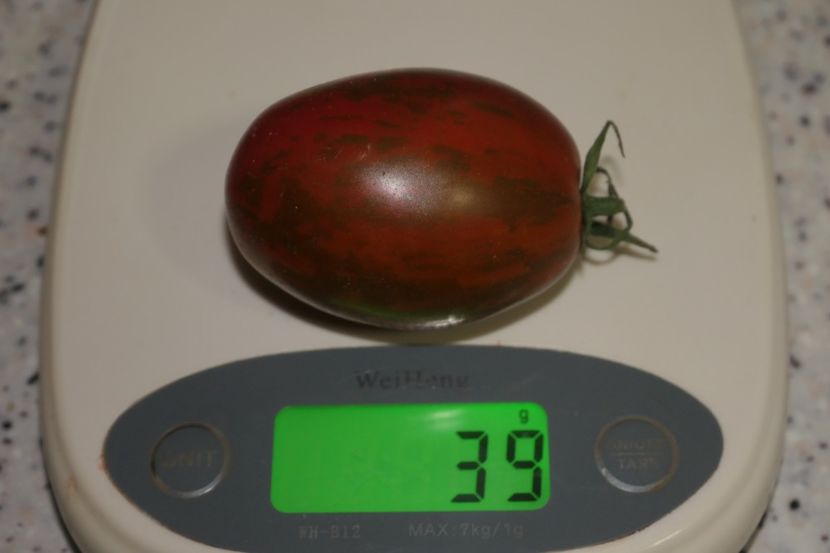 TIGER BLACK PLUM (6) - TIGER BLACK PLUM