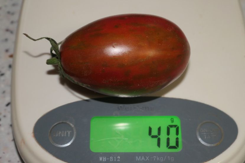 TIGER BLACK PLUM (8) - TIGER BLACK PLUM