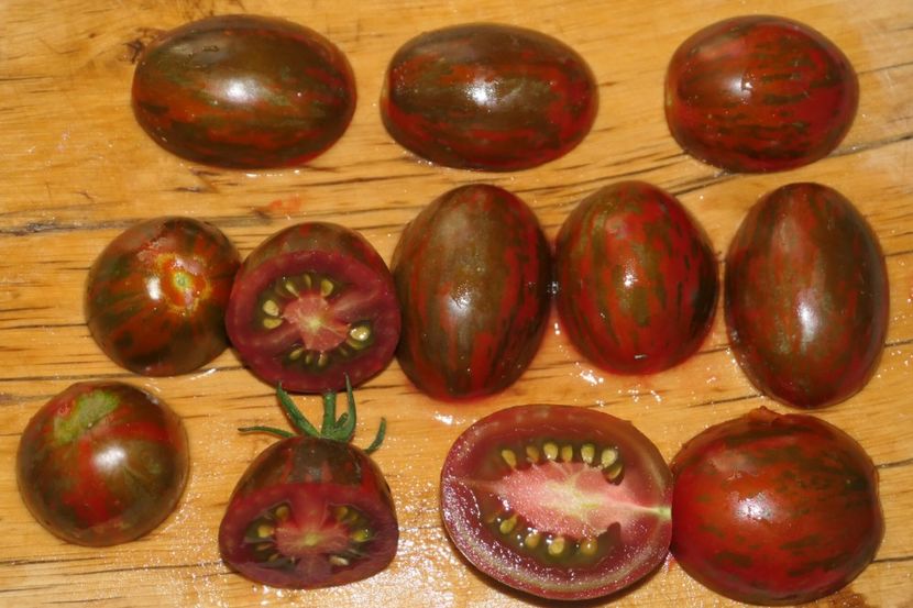 TIGER BLACK PLUM (18) - TIGER BLACK PLUM